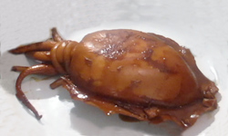 Soy Sauce Braised Cuttlefish 炆墨魚